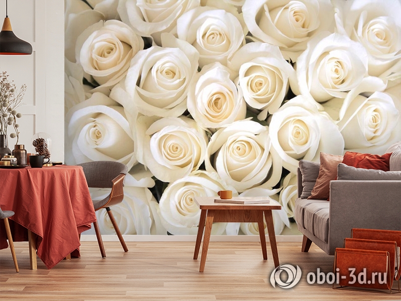 3D Фотообои «Нежные белые розы» вид 5