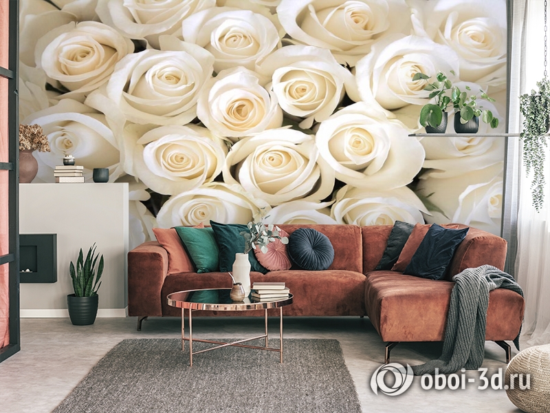 3D Фотообои «Нежные белые розы» вид 3