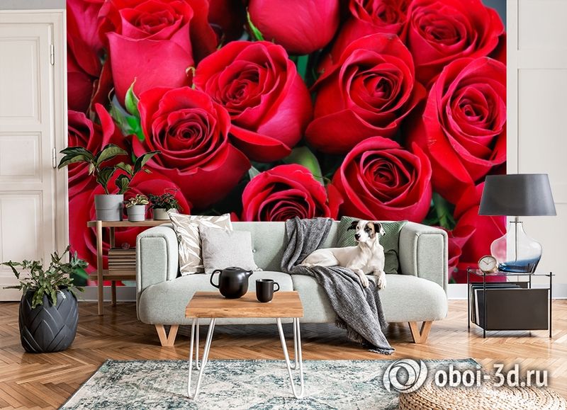 3D Фотообои «Нежные бордовые розы» вид 8