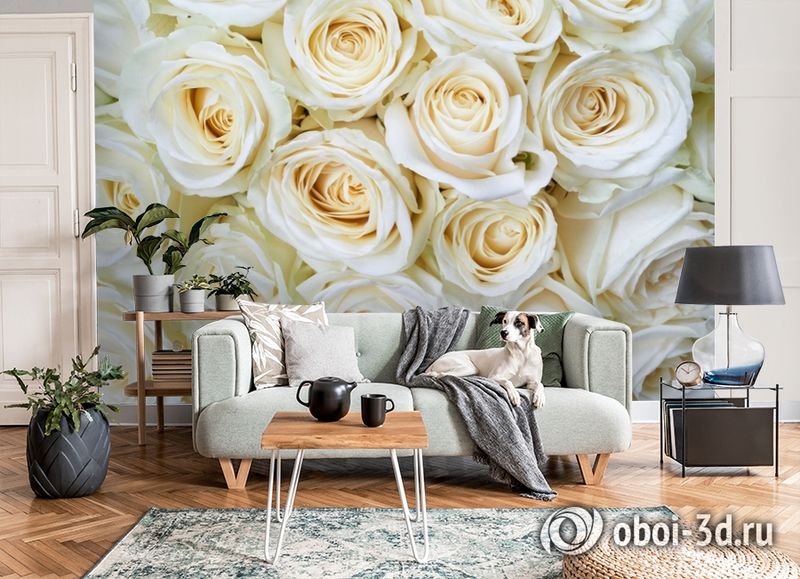 3D Фотообои «Нежные кремовые розы» вид 8