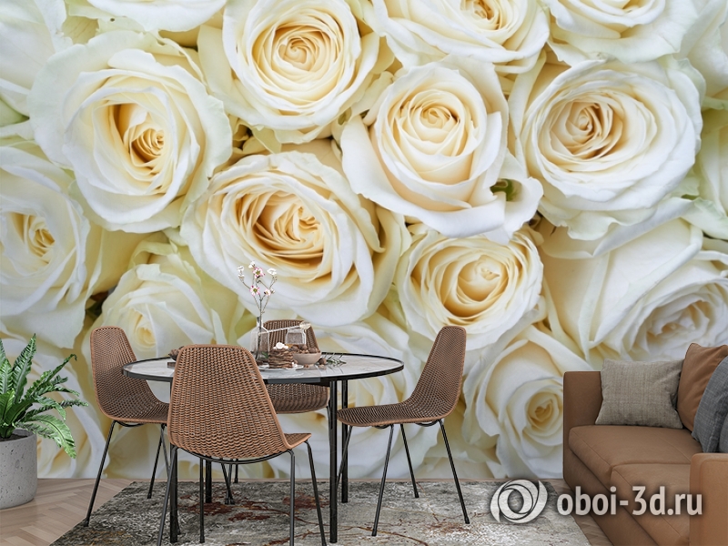 3D Фотообои «Нежные кремовые розы» вид 2