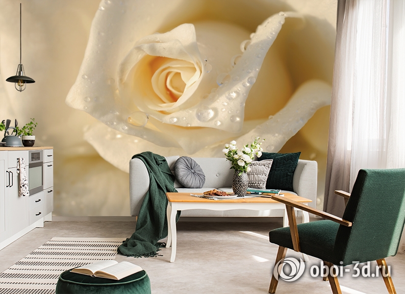 3D Фотообои «Утренняя роза» вид 7