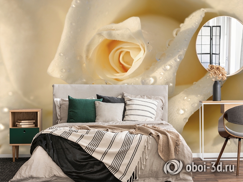 3D Фотообои «Утренняя роза» вид 4