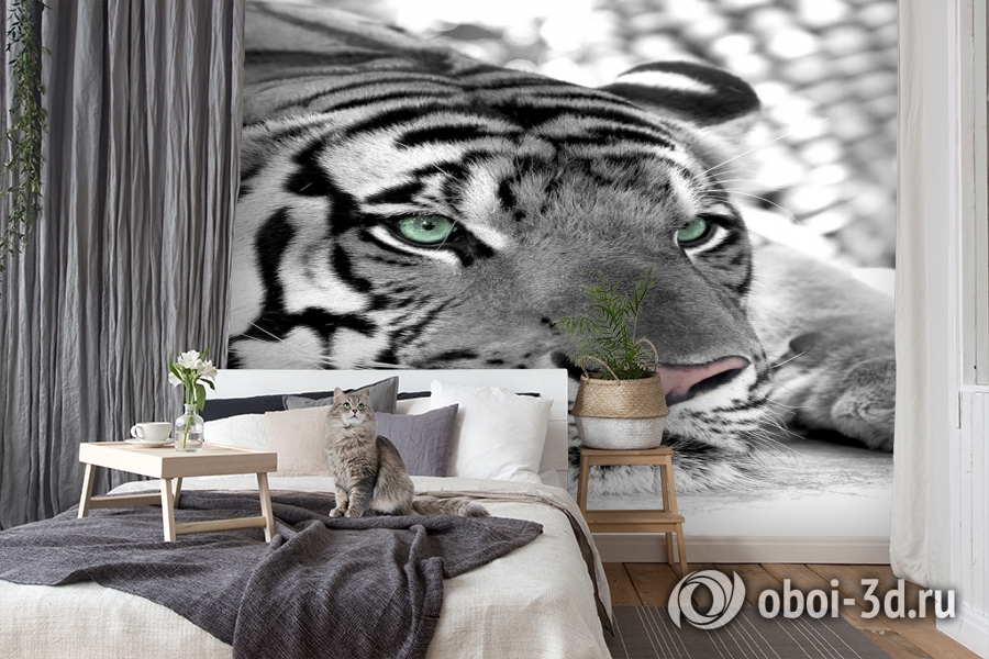 3D Фотообои  «Тигр черно-белые»  вид 7