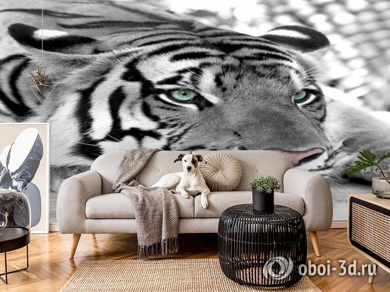3D Фотообои  «Тигр черно-белые»  вид 4