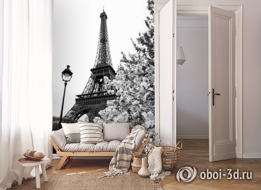 3D Фотообои «Цветущие деревья в Париже» вид 8