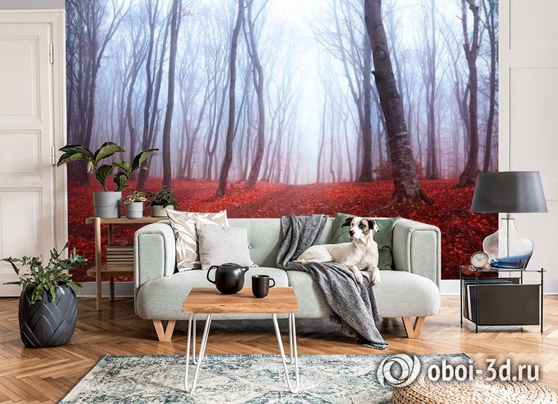 3D Фотообои  «Осенний лес в тумане»  вид 7