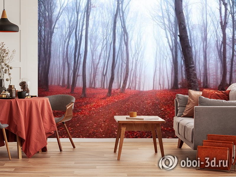 3D Фотообои  «Осенний лес в тумане»  вид 5