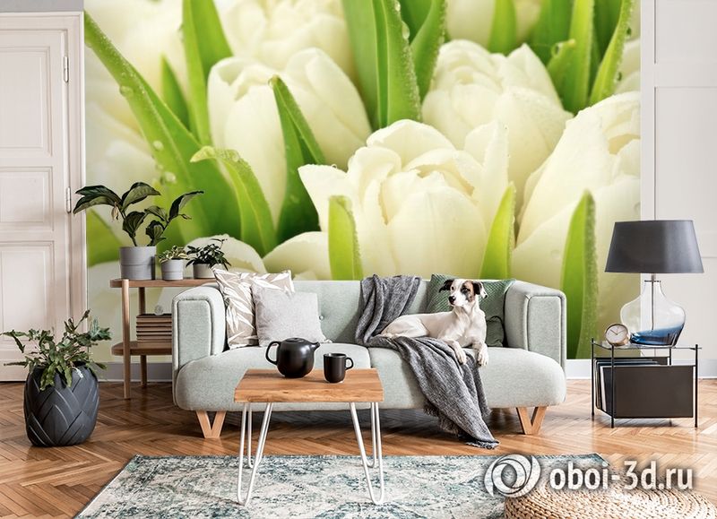 3D Фотообои «Белые тюльпаны» вид 8
