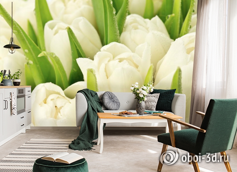 3D Фотообои «Белые тюльпаны» - купить в Москве, цена в Интернет-магазине  Обои 3D