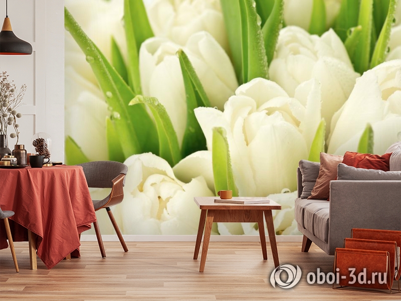 3D Фотообои «Белые тюльпаны» вид 5