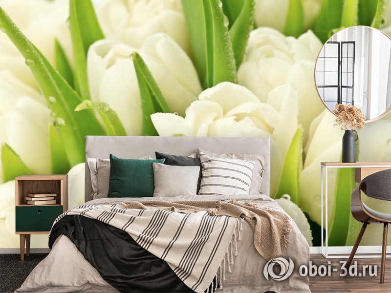 3D Фотообои «Белые тюльпаны» вид 4