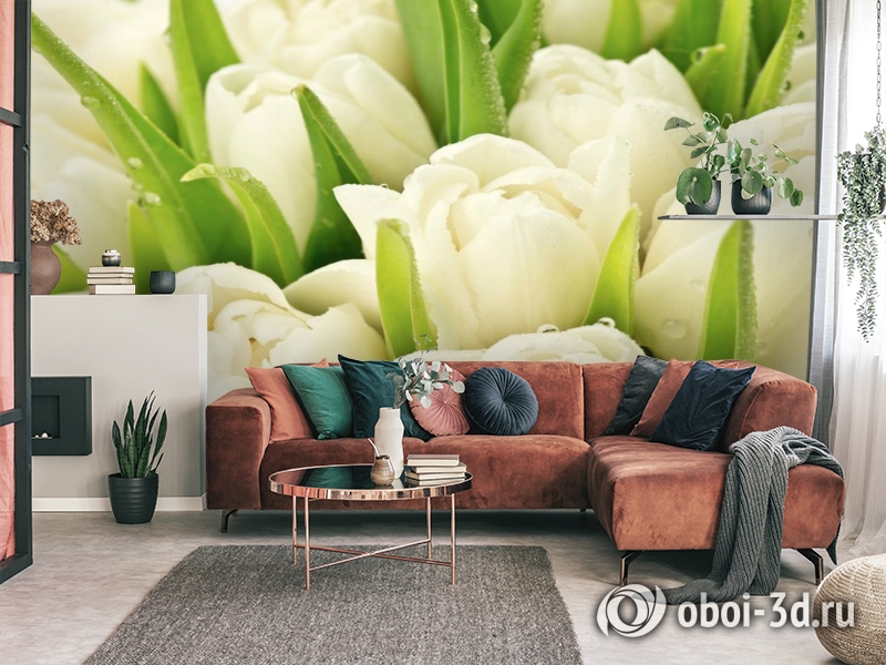 3D Фотообои «Белые тюльпаны» вид 3