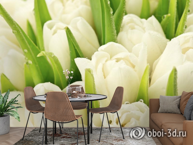 3D Фотообои «Белые тюльпаны» вид 2