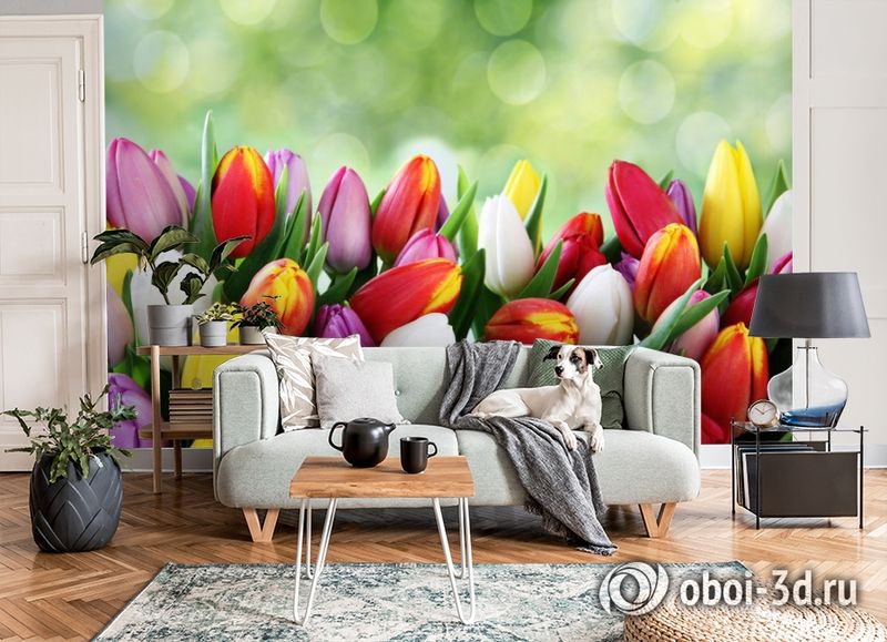 3D Фотообои «Разноцветные тюльпаны» вид 8