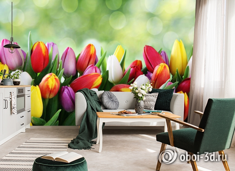 3D Фотообои «Разноцветные тюльпаны» вид 7