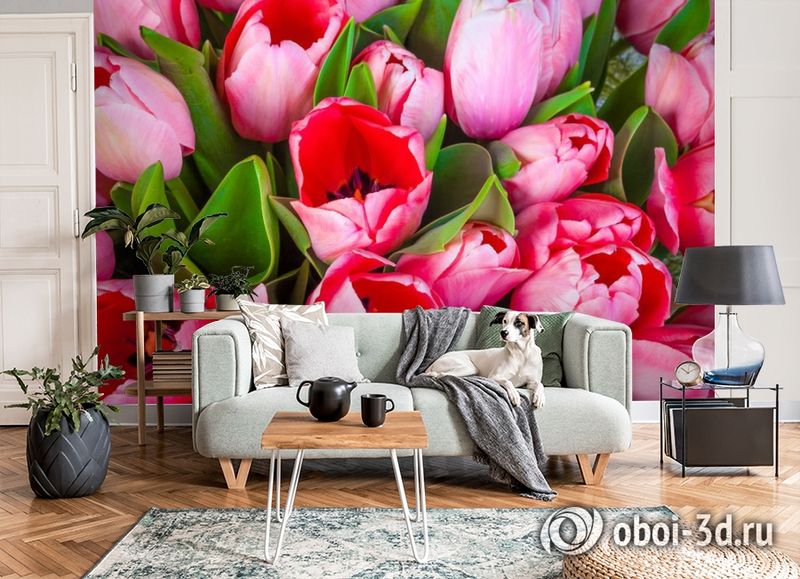 3D Фотообои «Букет тюльпанов» вид 8