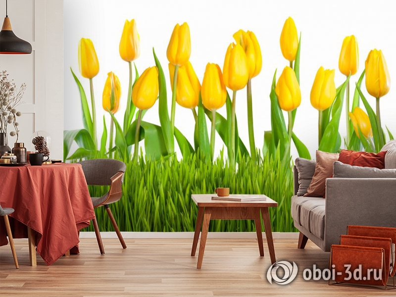 3D Фотообои «Желтые тюльпаны» вид 5