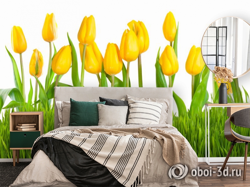 3D Фотообои «Желтые тюльпаны» - купить в Москве, цена в Интернет-магазине  Обои 3D