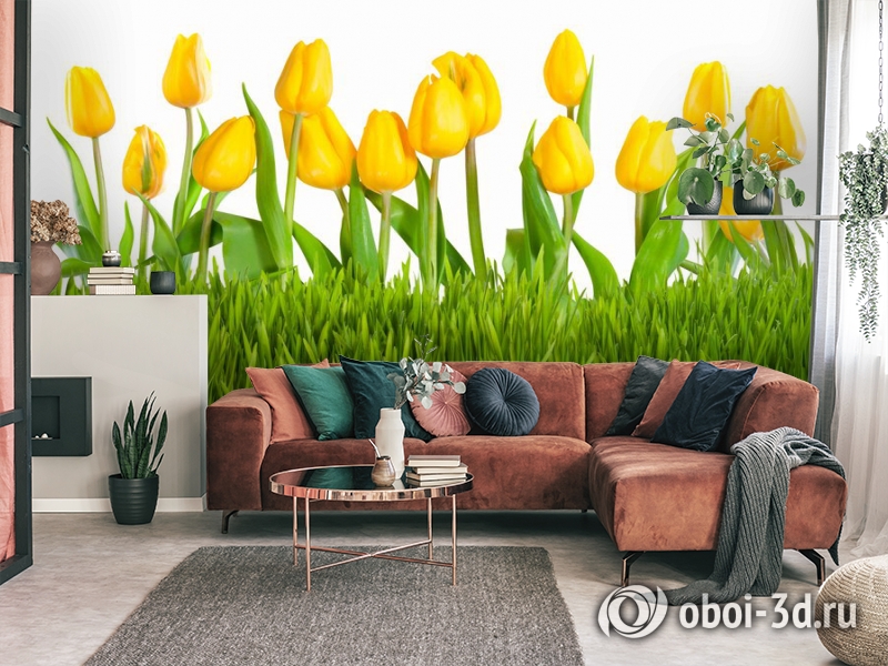 3D Фотообои «Желтые тюльпаны» вид 3