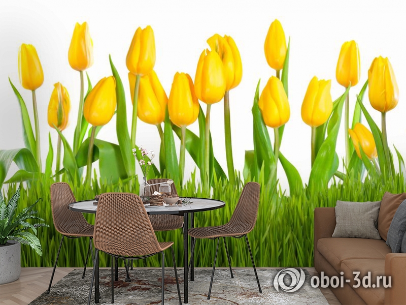 3D Фотообои «Желтые тюльпаны» вид 2