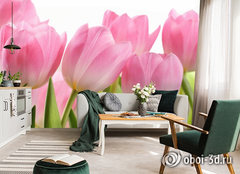 3D Фотообои «Крупные розовые тюльпаны» вид 7