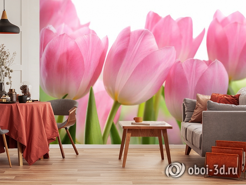 3D Фотообои «Крупные розовые тюльпаны» вид 5