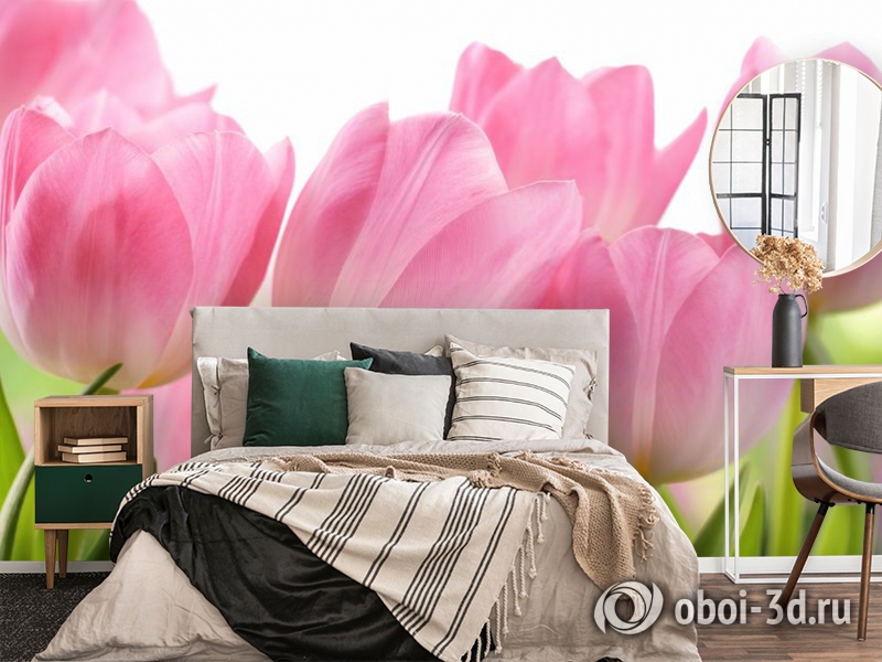 3D Фотообои «Крупные розовые тюльпаны» вид 4