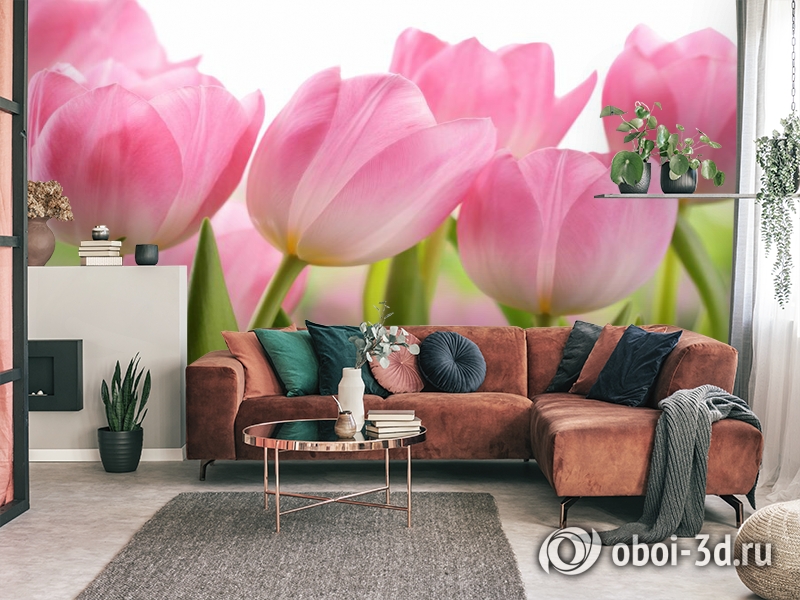 3D Фотообои «Крупные розовые тюльпаны» вид 3