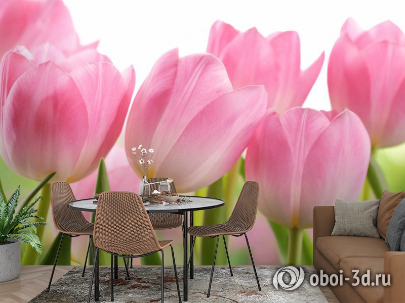 3D Фотообои «Крупные розовые тюльпаны» вид 2