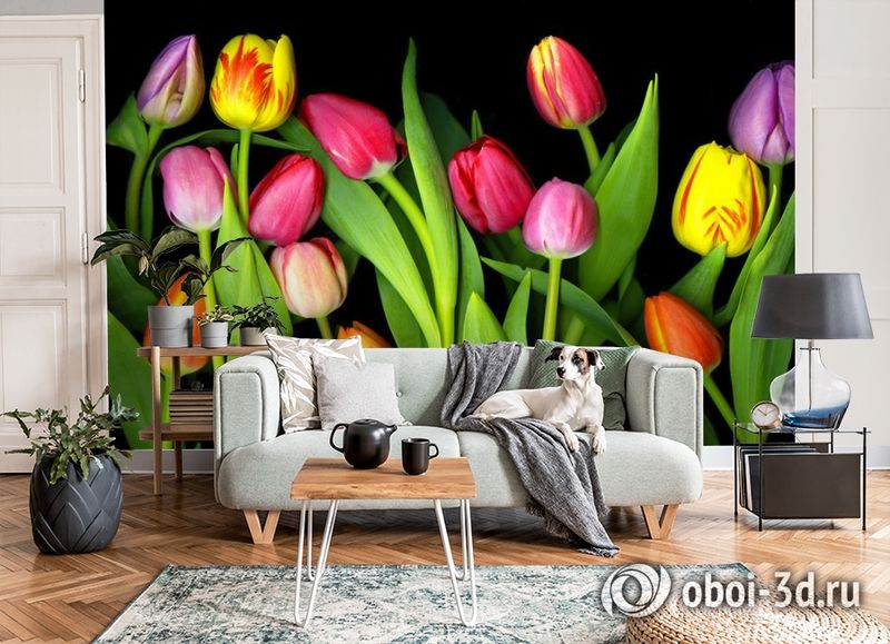 3D Фотообои «Тюльпаны на темном фоне» вид 8