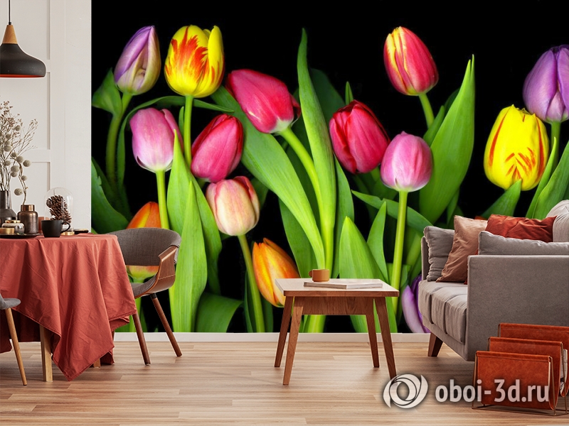 3D Фотообои «Тюльпаны на темном фоне» вид 5