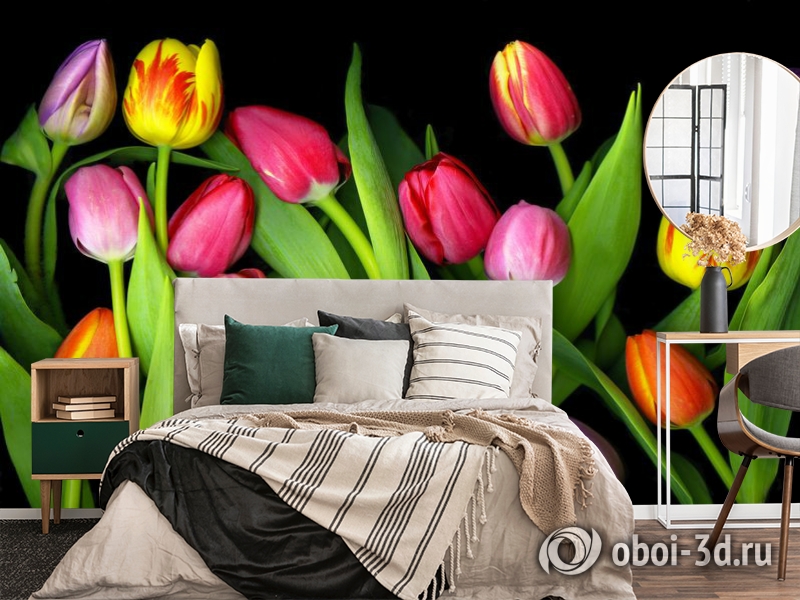3D Фотообои «Тюльпаны на темном фоне» вид 4