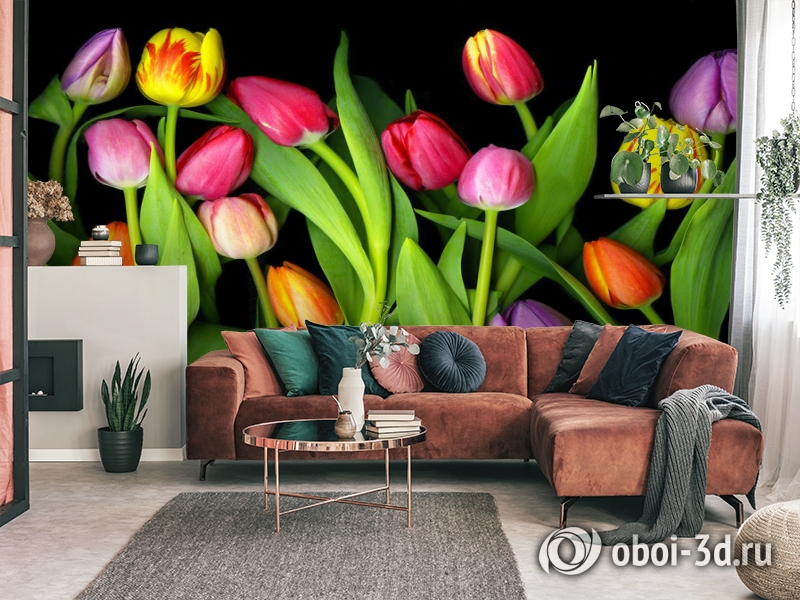 3D Фотообои «Тюльпаны на темном фоне» вид 3