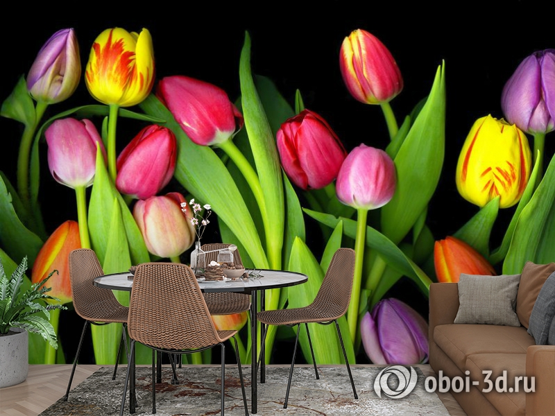 3D Фотообои «Тюльпаны на темном фоне» вид 2