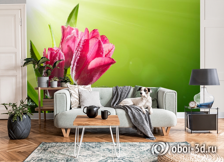 3D Фотообои «Тюльпаны на зеленом фоне» вид 8