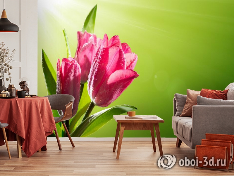 3D Фотообои «Тюльпаны на зеленом фоне» вид 5