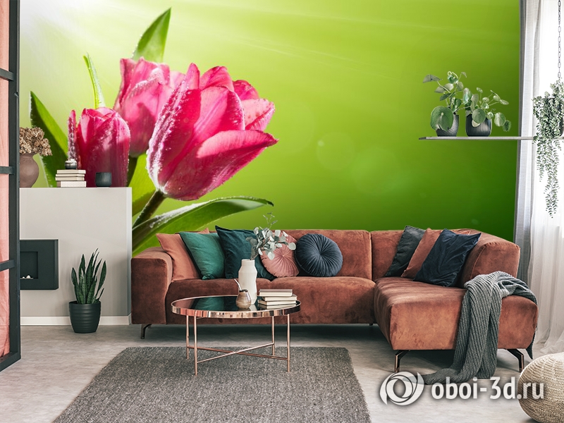 3D Фотообои «Тюльпаны на зеленом фоне» вид 3