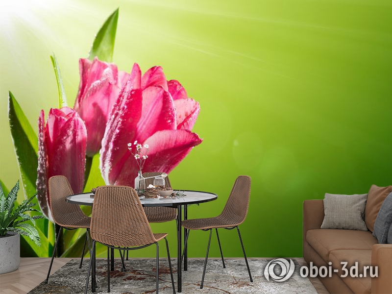 3D Фотообои «Тюльпаны на зеленом фоне» вид 2
