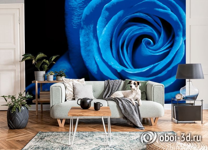 3D Фотообои  «Синяя роза» вид 8