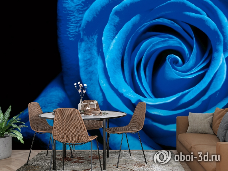 3D Фотообои  «Синяя роза» вид 2