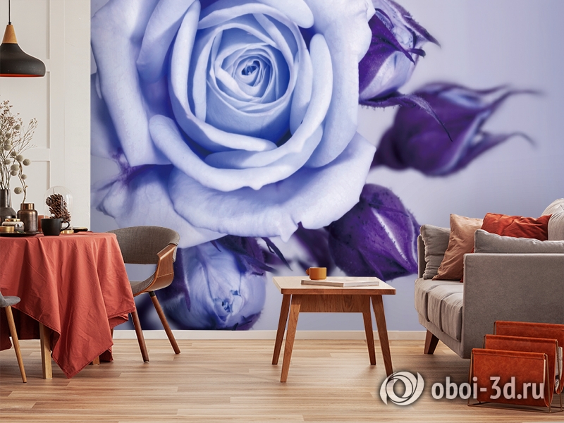 3D Фотообои  «Сиреневая роза»  вид 5