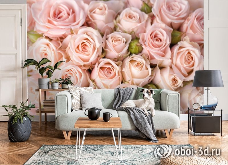 3D Фотообои «Кремовые розы» вид 8
