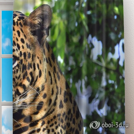 Фотошторы «Отдыхающий леопард» вид 2