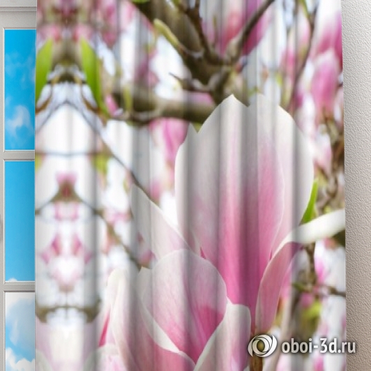 Фотошторы «Цветущая магнолия» вид 2