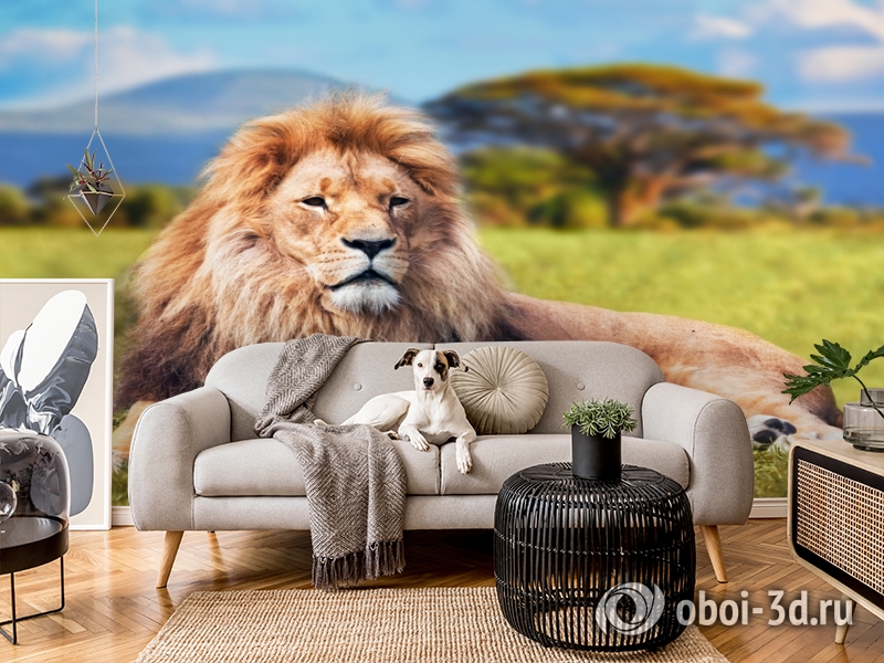 3D Фотообои  «Лев»  вид 4