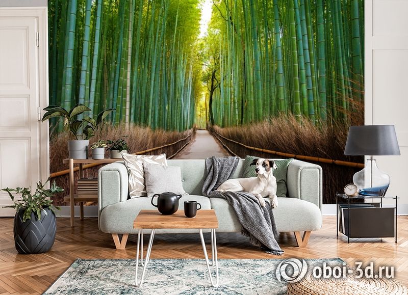 3D Фотообои «Бамбуковый лес» вид 7