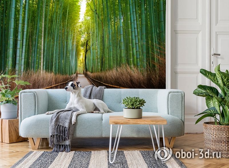 3D Фотообои «Бамбуковый лес» вид 2