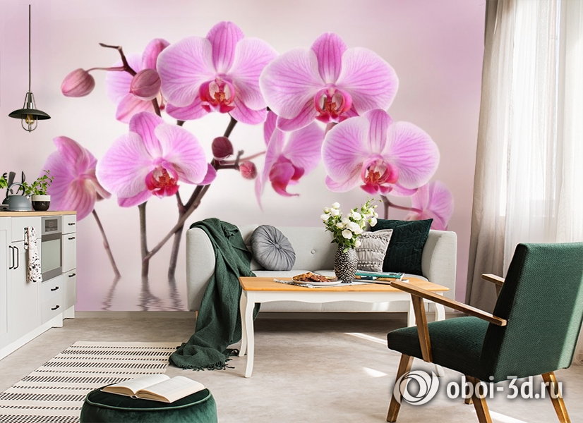 3D Фотообои «Розовая орхидея над водой» вид 7