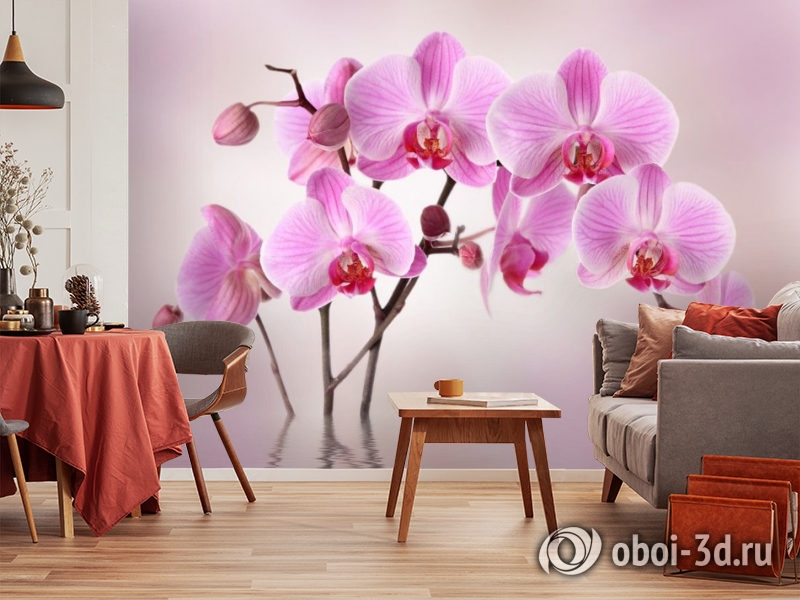 Фотообои Орхидеи купить недорого в Украине